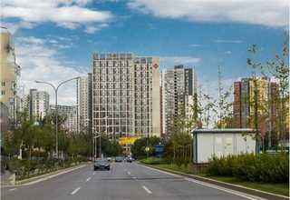 电动扭矩测试仪批发